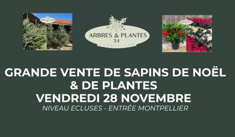 Grande vente de sapins et plantes à pris tout doux – Vendredi 28 novembre