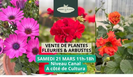Super Vente de plantes fleuries et d’agrumes avec Arbres & Plantes 34