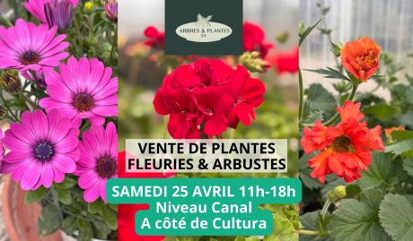 Super ente de plantes fleuries et d’agrumes à prix tout doux