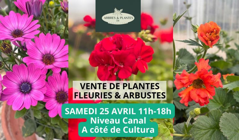 Super ente de plantes fleuries et d’agrumes à prix tout doux